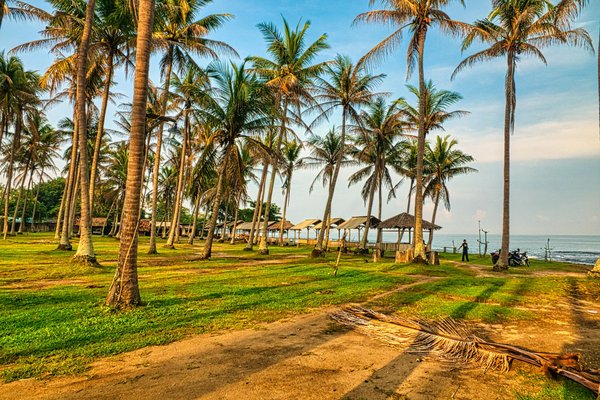 Croisières et Covid-19 : Adaptation Résilience et Perspectives d'Avenir